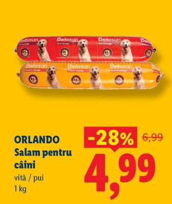 ORLANDO Salam pentru câini