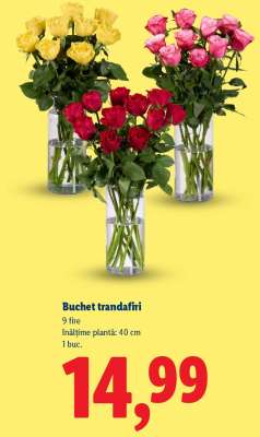 Buchet trandafiri