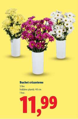 Buchet crizanteme
