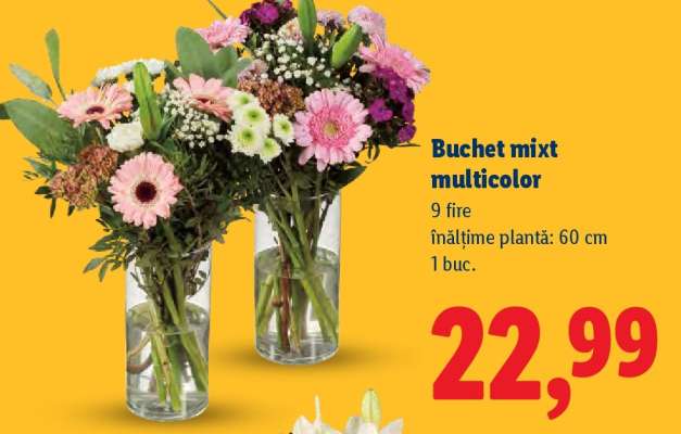 Buchet mixt multicolor