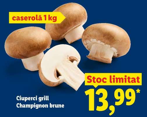 Ciuperci grill Champignon brune