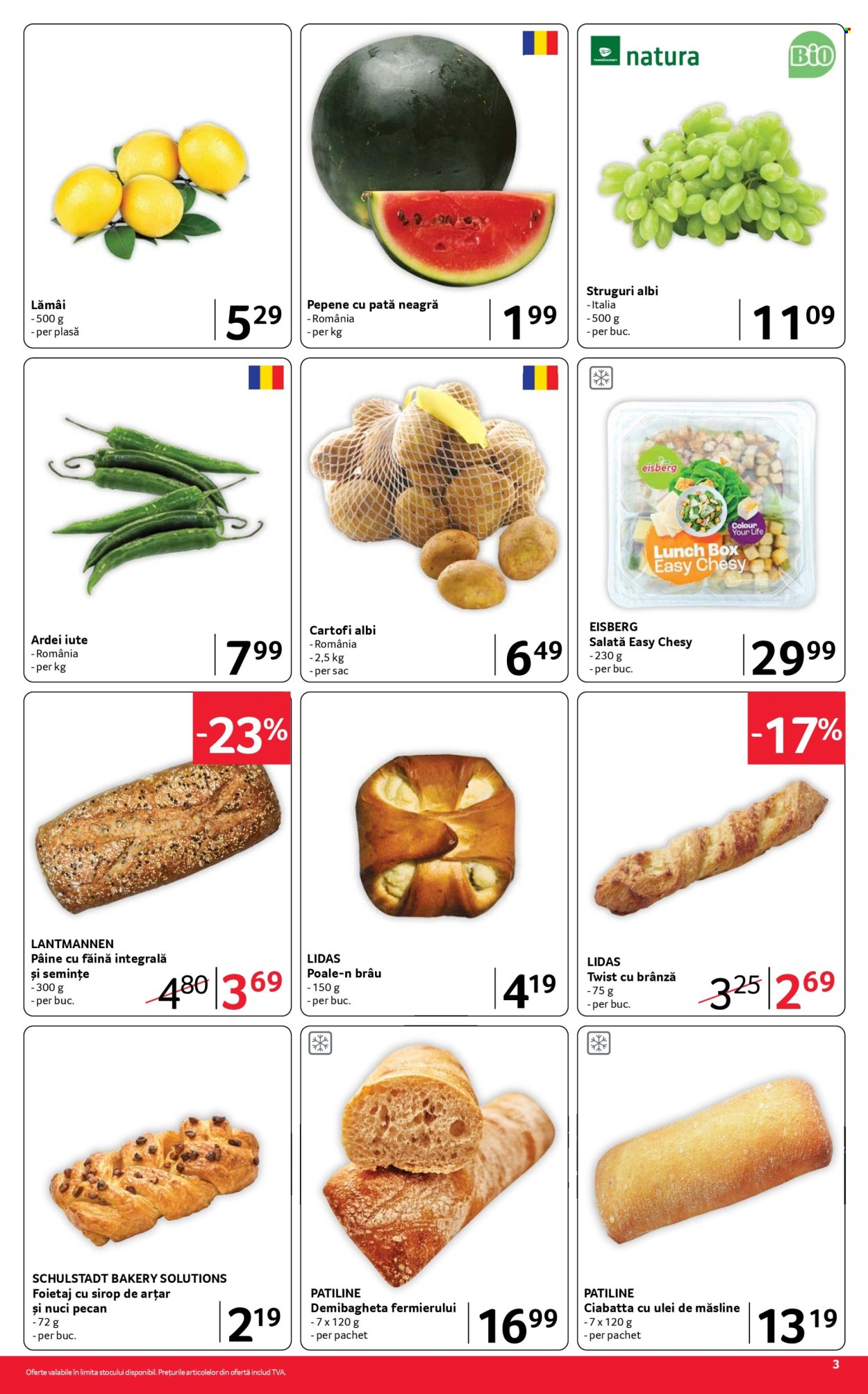Catalog Selgros - 07.08.2026 - 20.08.2026. Pagina 3