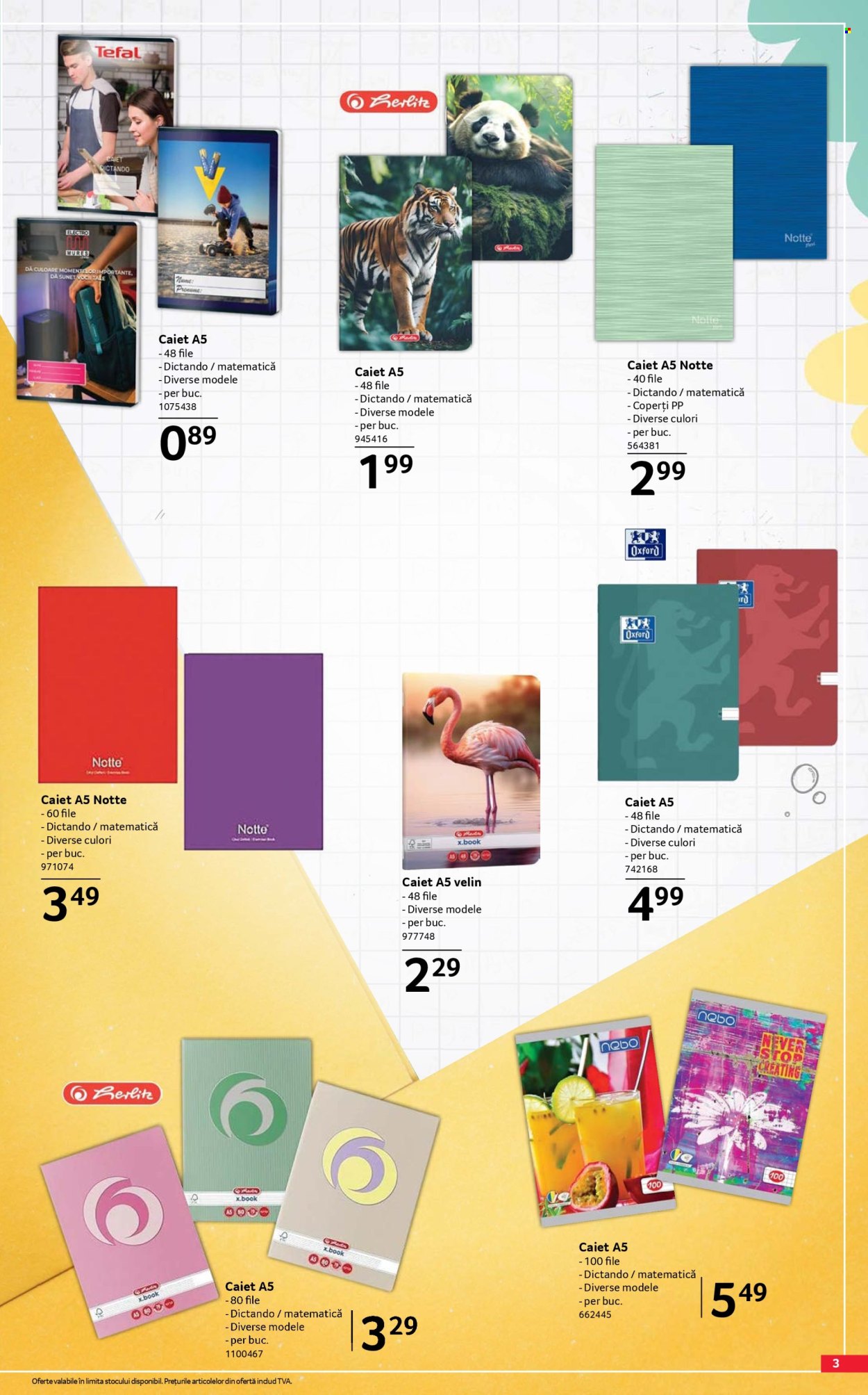 Catalog Selgros - 07.08.2026 - 20.08.2026. Pagina 3