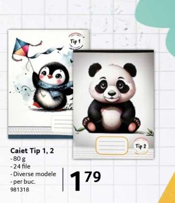 Caiet Tip 1, 2