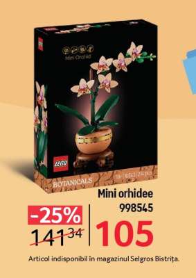 Mini orhidee