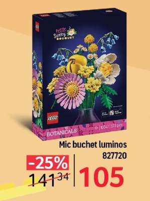 Mic buchet luminos