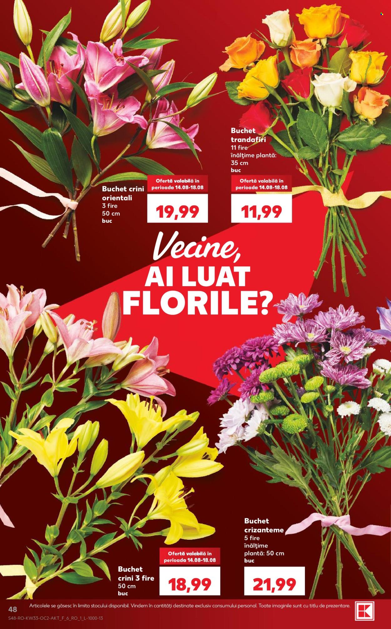 Catalog Kaufland - 12.08.2026 - 18.08.2026. Pagina 48