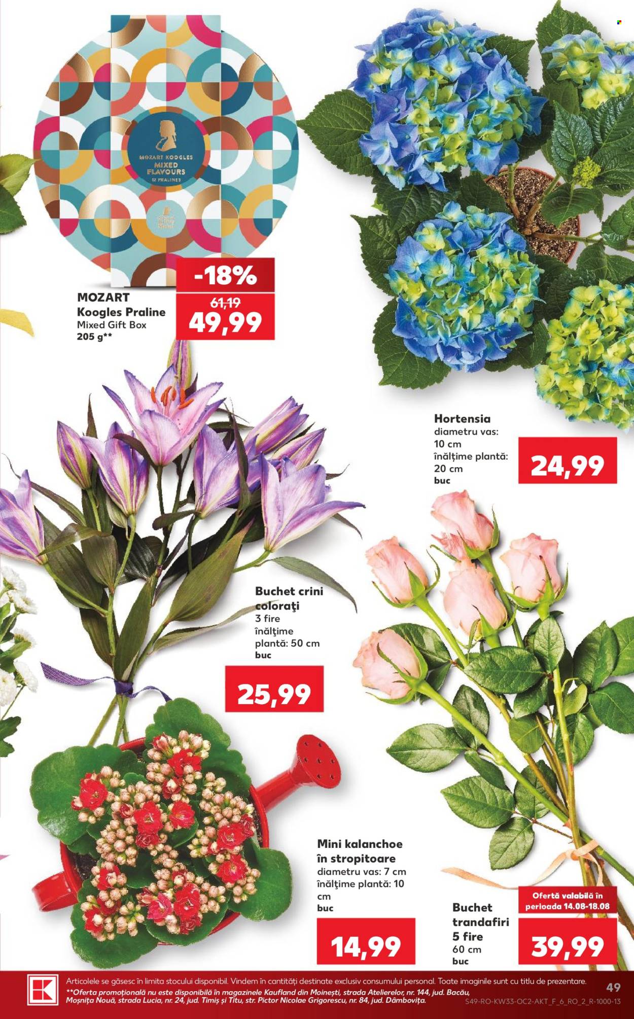 Catalog Kaufland - 12.08.2026 - 18.08.2026. Pagina 49