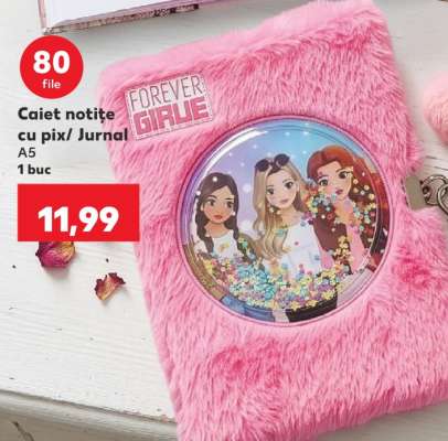 Caiet notițe cu pix/ Jurnal