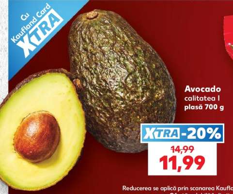 Avocado