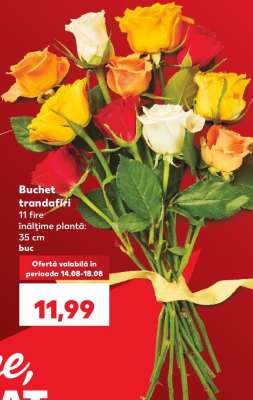 Buchet trandafiri