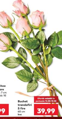 Buchet trandafiri