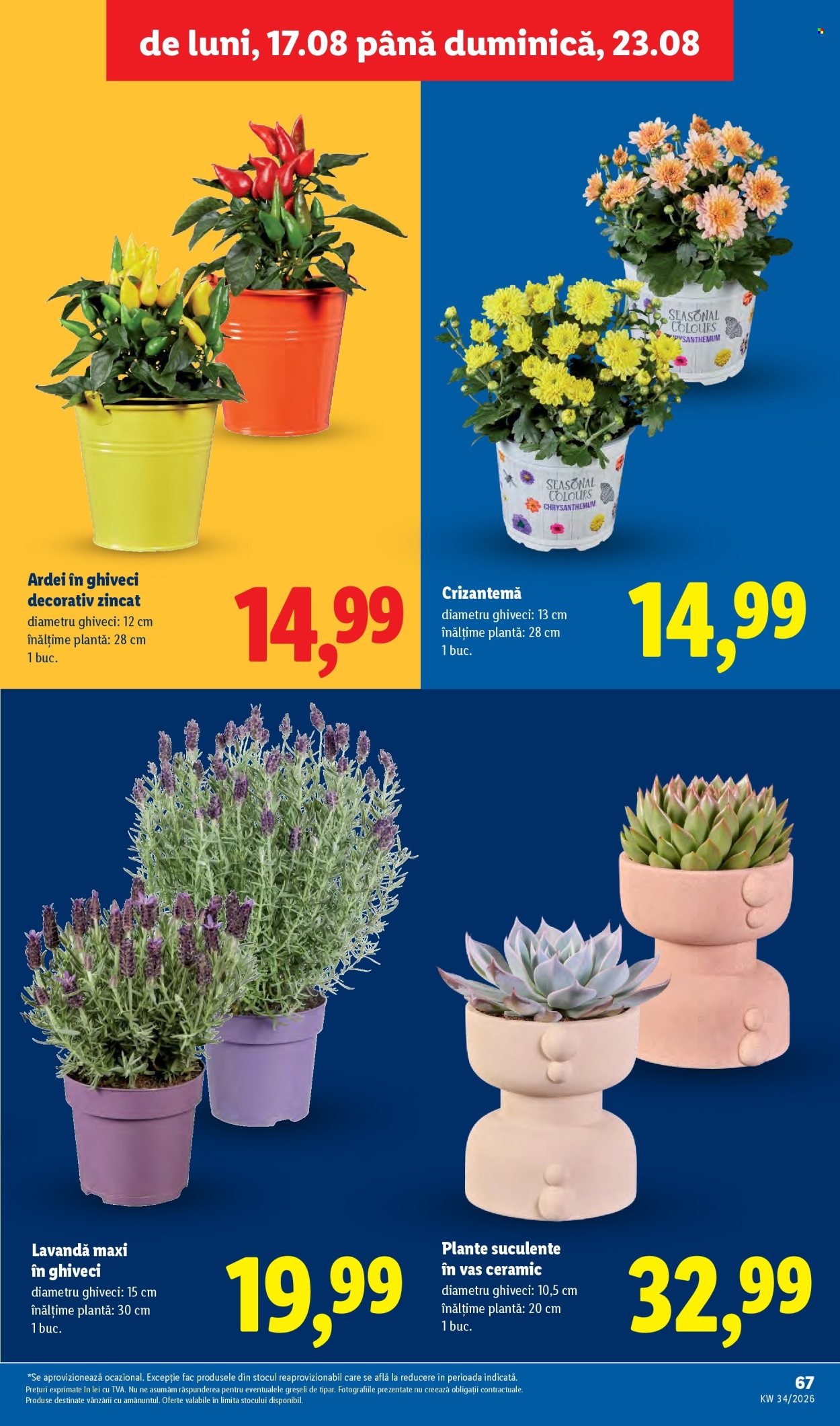 Catalog Lidl - 17.08.2026 - 23.08.2026. Pagina 67