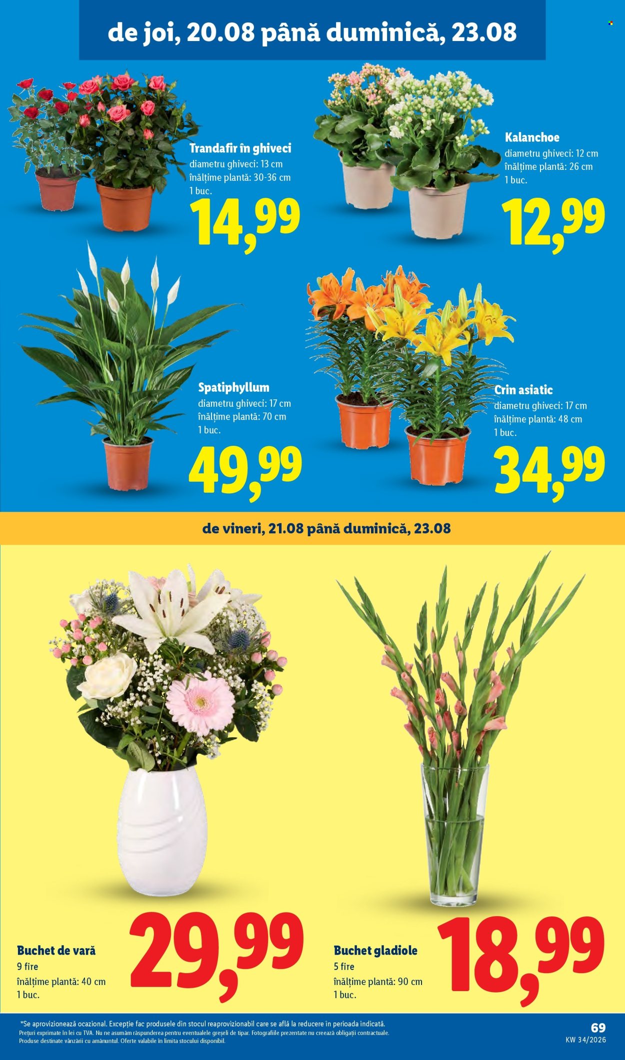 Catalog Lidl - 17.08.2026 - 23.08.2026. Pagina 69