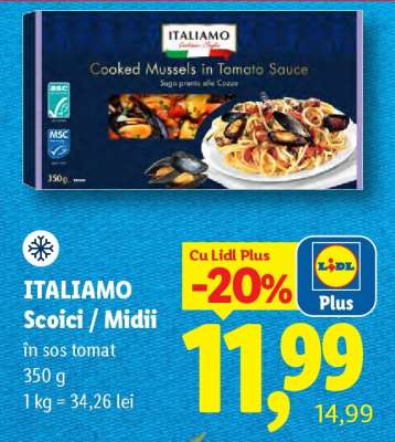 ITALIANO Scoici / Midii