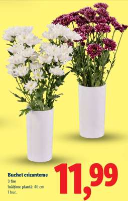 Buchet crizanteme