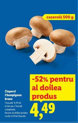 Ciuperci Champignon brune