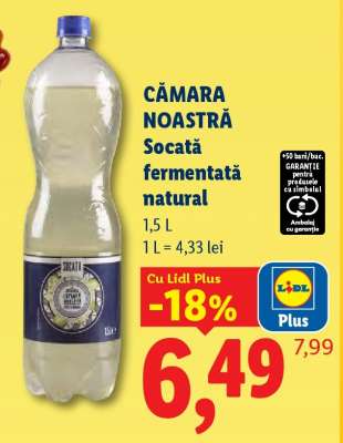 CĂMARA NOASTRĂ Socată fermentată natural