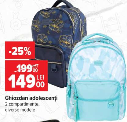 Ghiozdan adolescenți