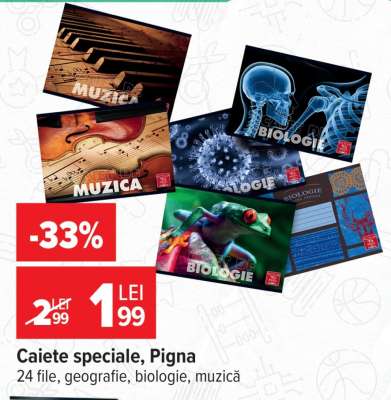 Caiete speciale, Pigna