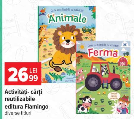 Activități - cărți reutilizabile