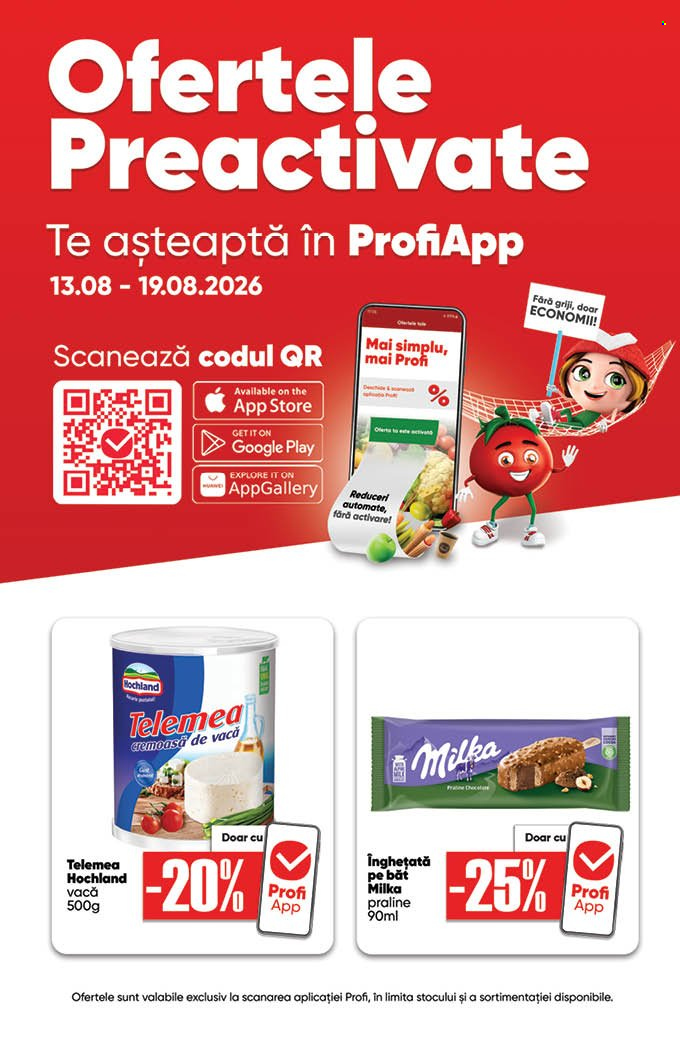 Catalog Profi Loco - 13.08.2026 - 19.08.2026. Pagina 13