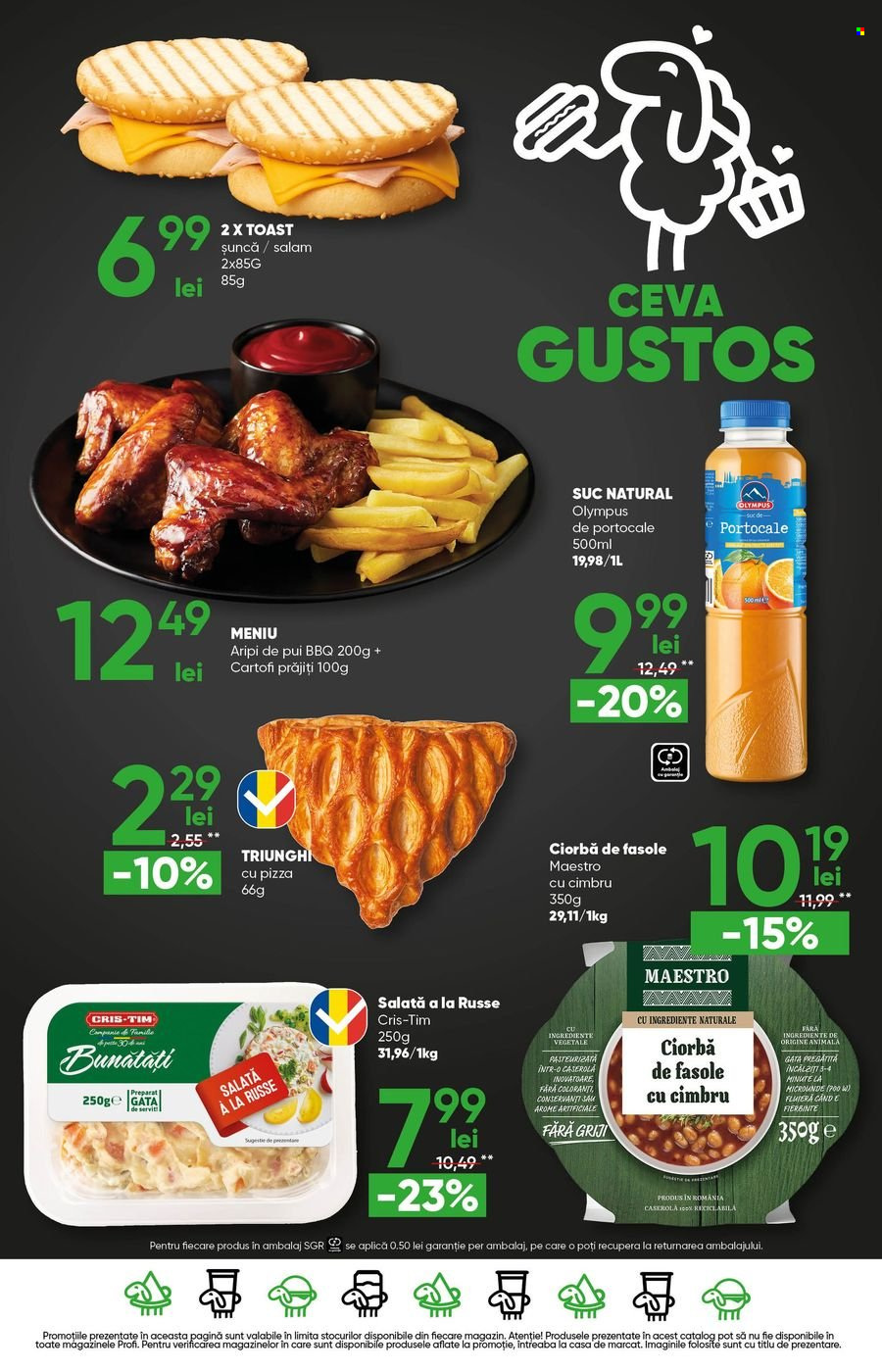 Catalog Profi - 13.08.2026 - 19.08.2026. Pagina 17