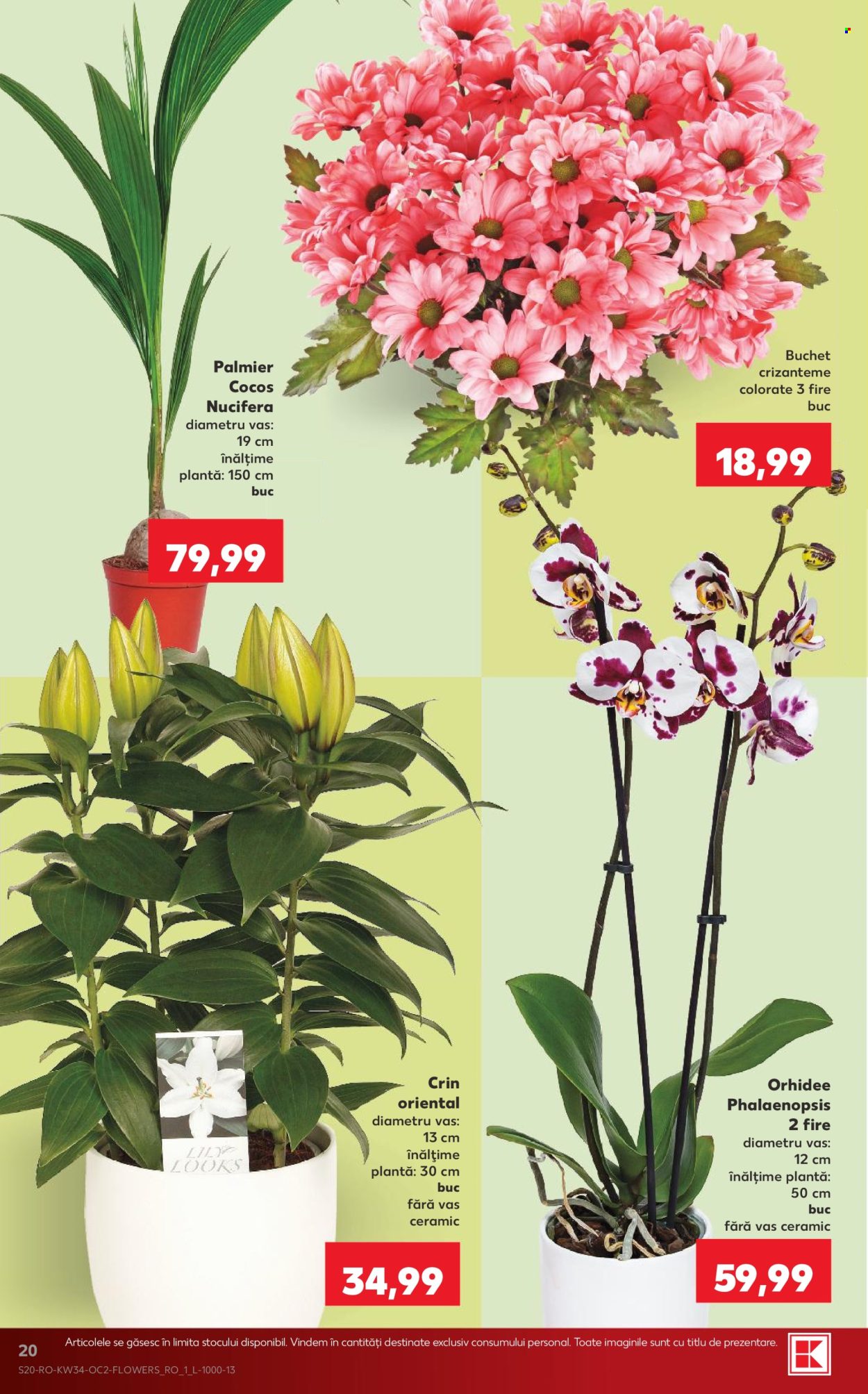 Catalog Kaufland - 19.08.2026 - 25.08.2026. Pagina 20