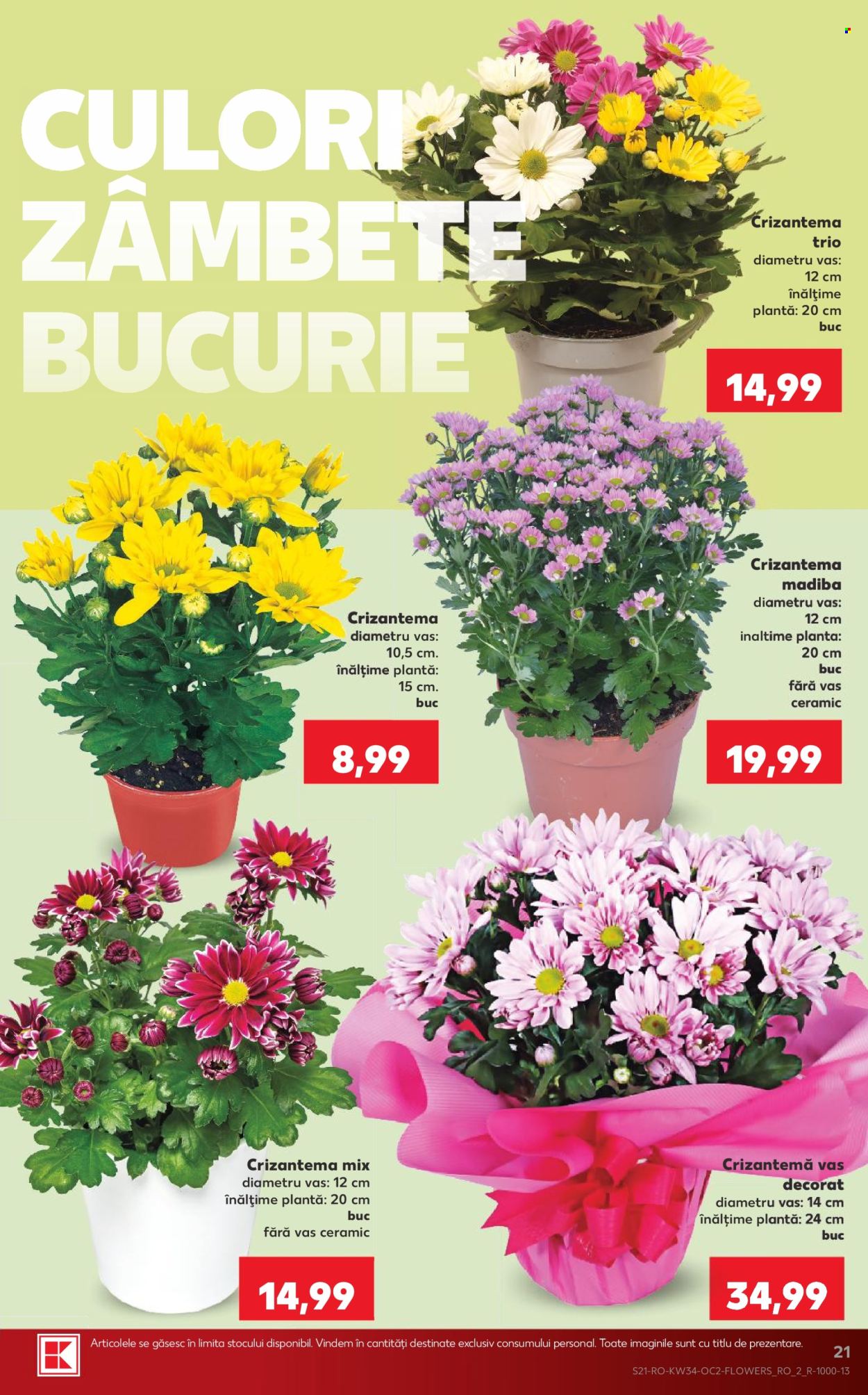 Catalog Kaufland - 19.08.2026 - 25.08.2026. Pagina 21