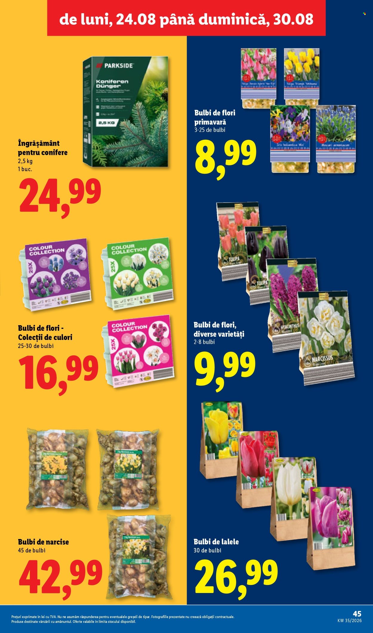 Catalog Lidl - 24.08.2026 - 30.08.2026. Pagina 45