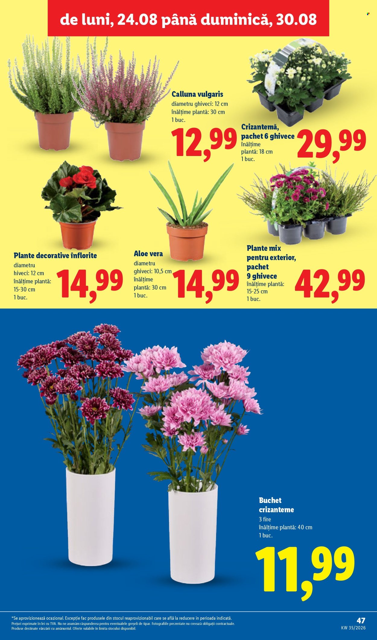 Catalog Lidl - 24.08.2026 - 30.08.2026. Pagina 47