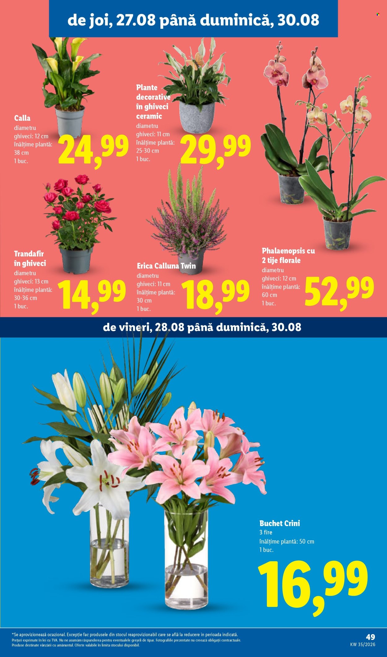 Catalog Lidl - 24.08.2026 - 30.08.2026. Pagina 49
