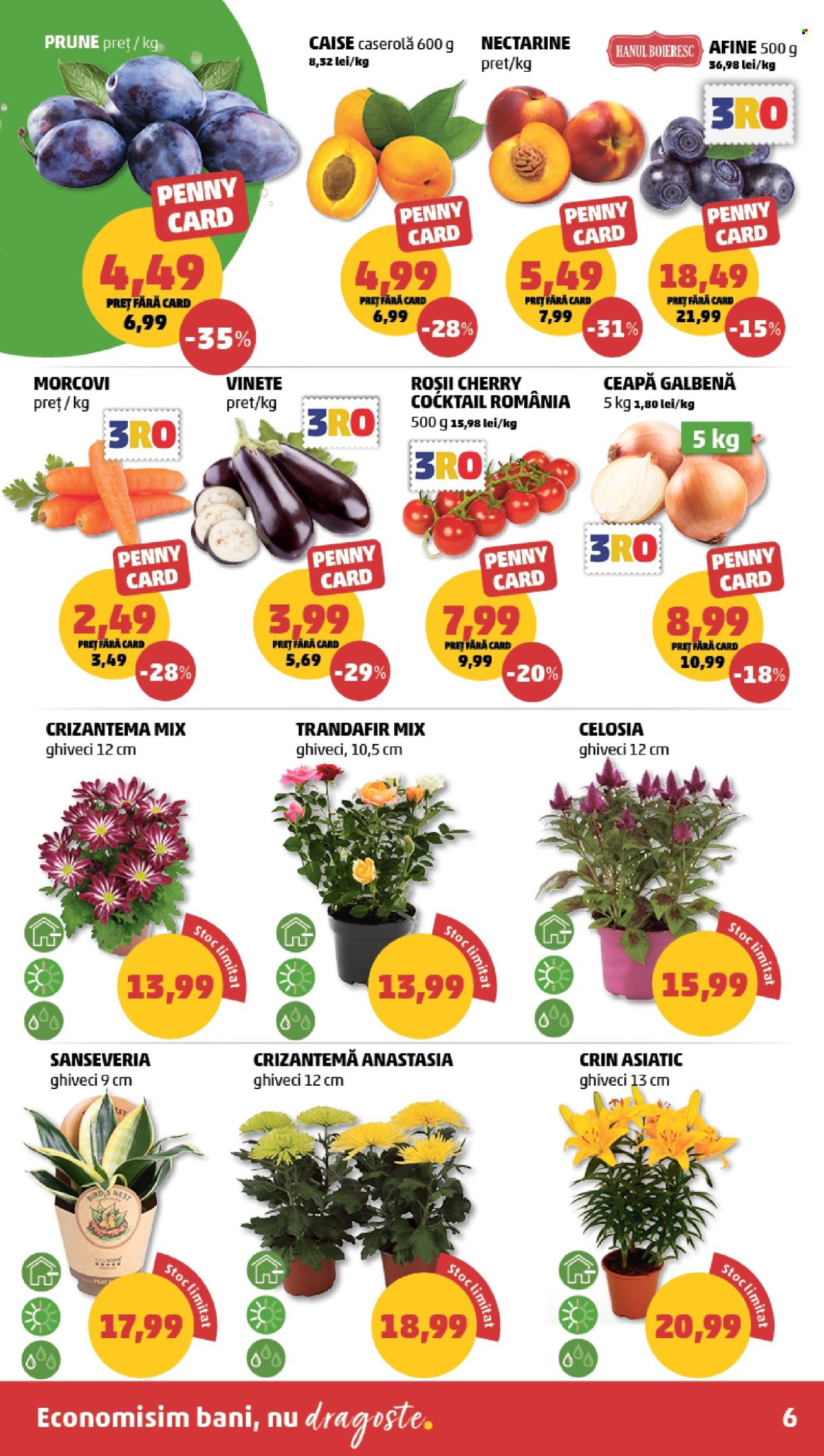 Catalog PENNY - 19.08.2026 - 25.08.2026. Pagina 6