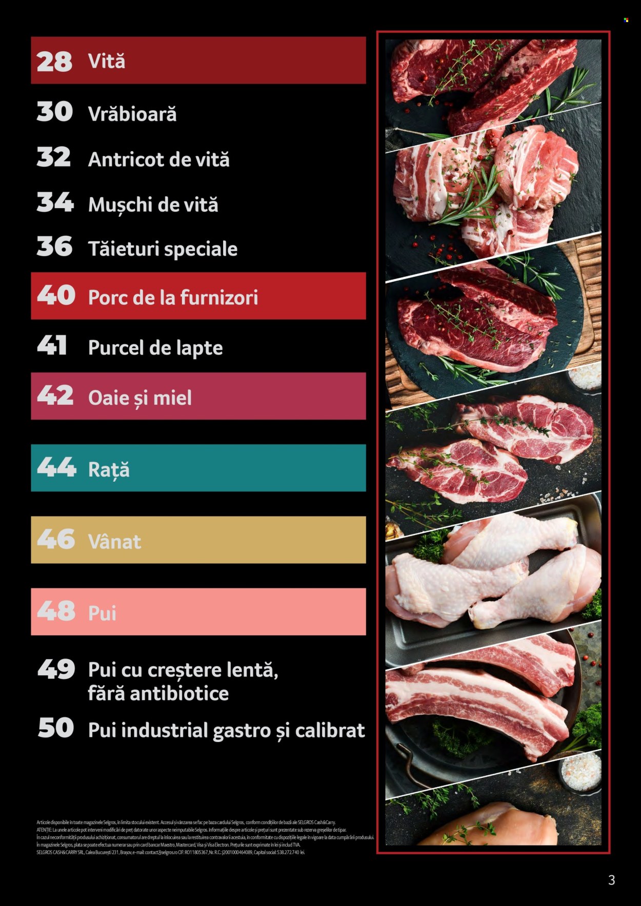 Catalog Selgros. Pagina 3