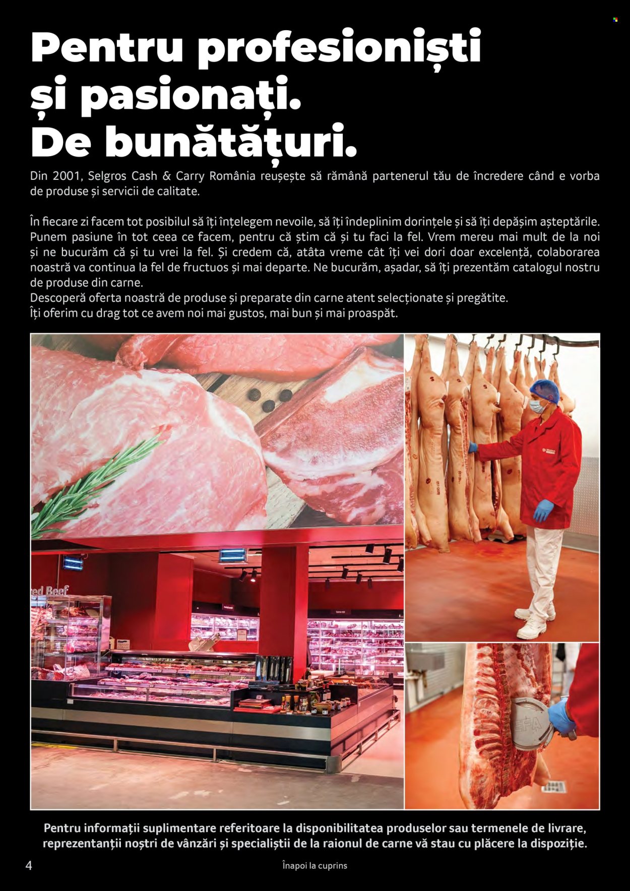 Catalog Selgros. Pagina 4