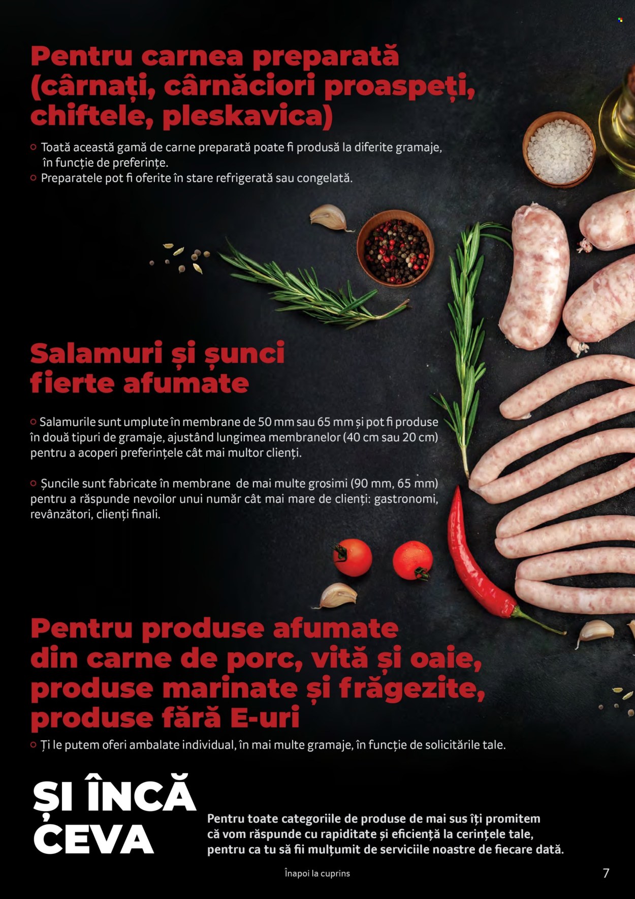 Catalog Selgros. Pagina 7