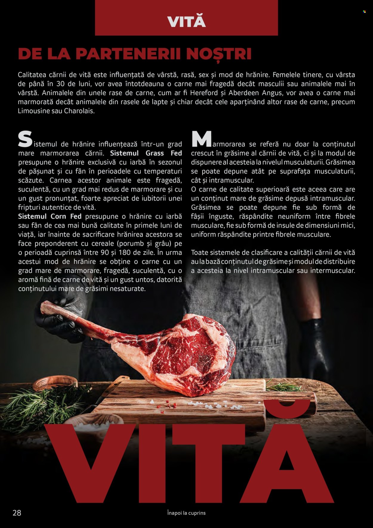 Catalog Selgros. Pagina 28