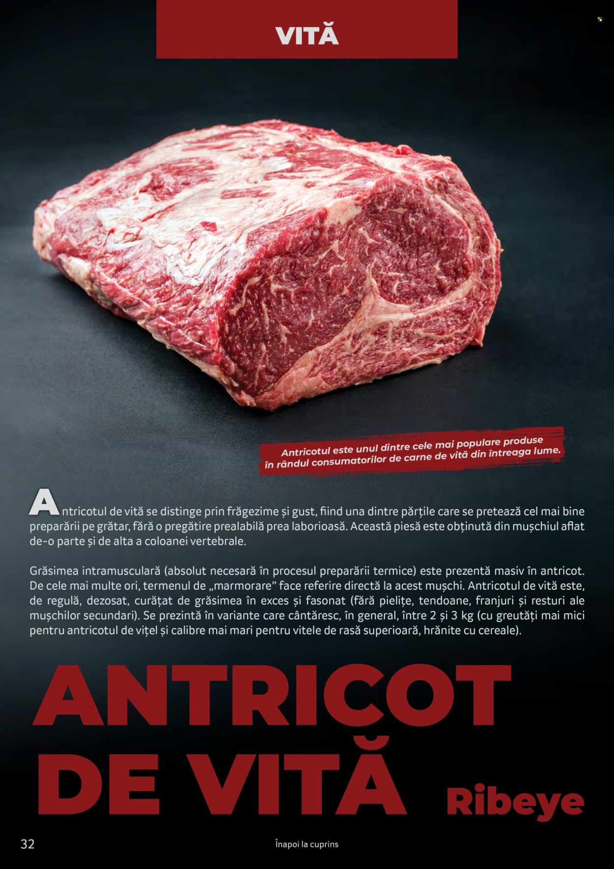 Catalog Selgros. Pagina 32