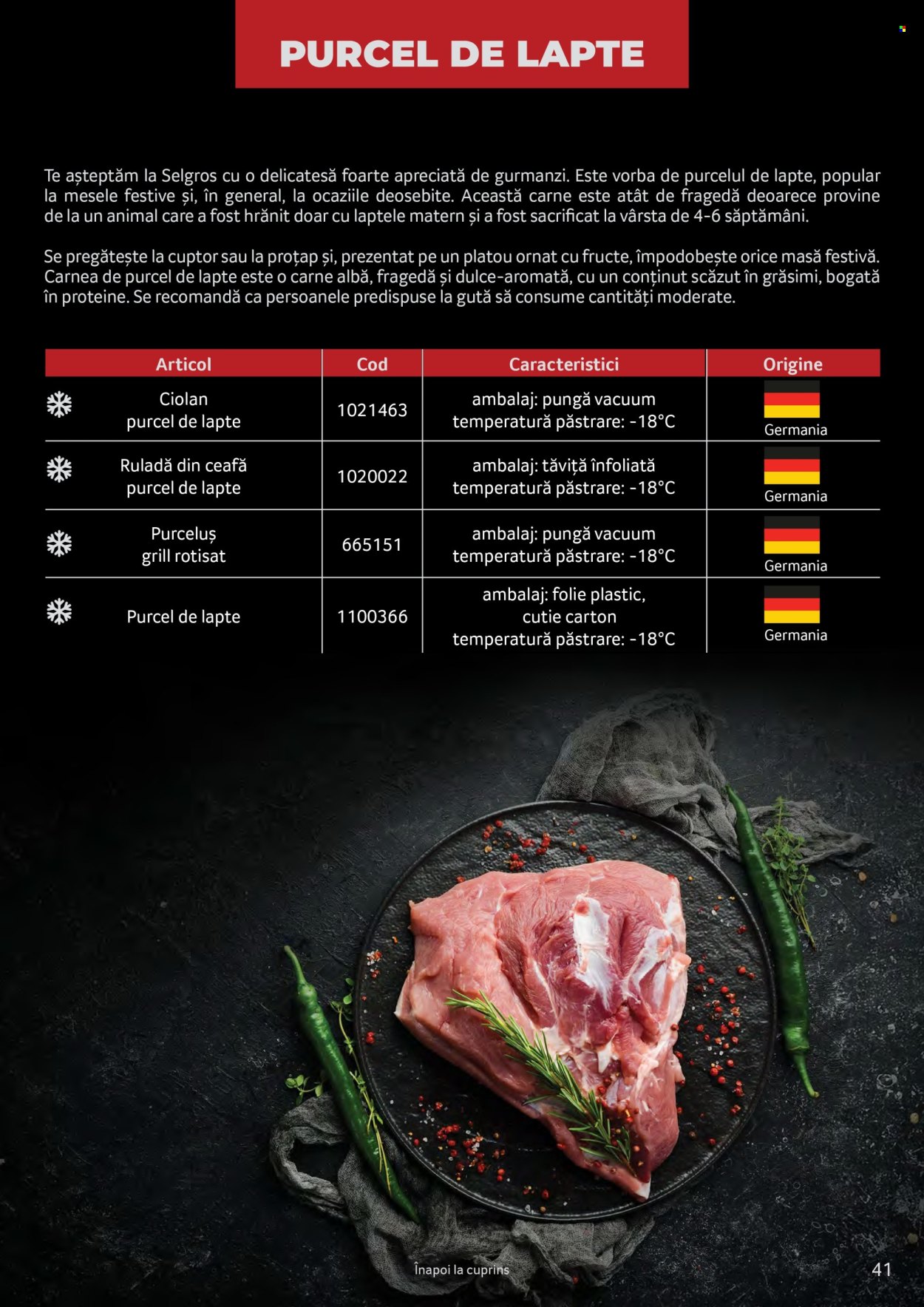 Catalog Selgros. Pagina 41