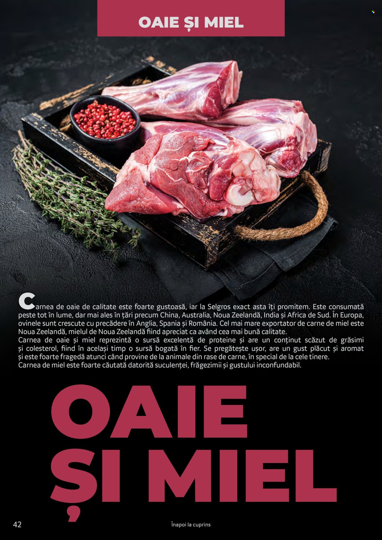 Catalog Selgros. Pagina 42