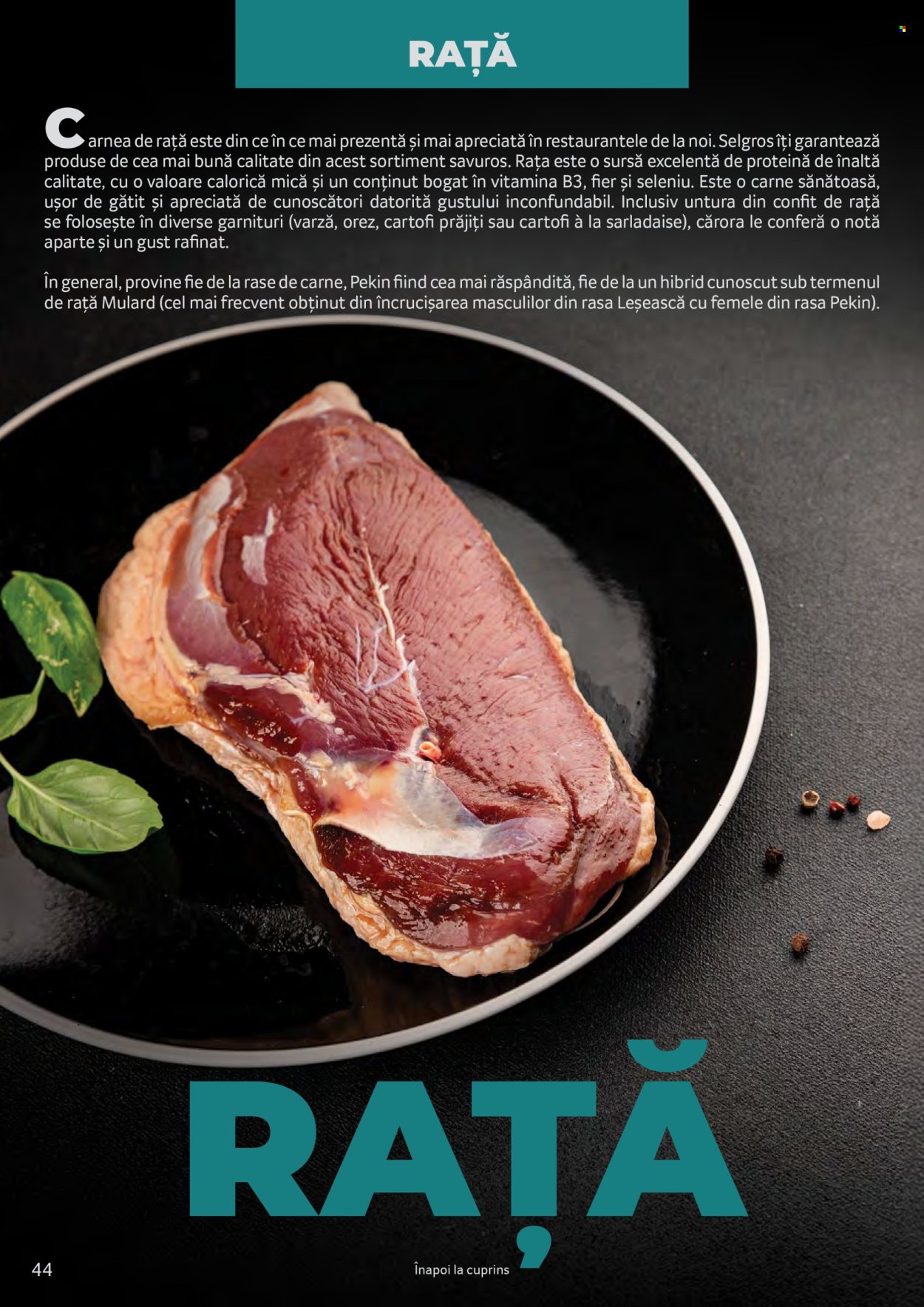 Catalog Selgros. Pagina 44