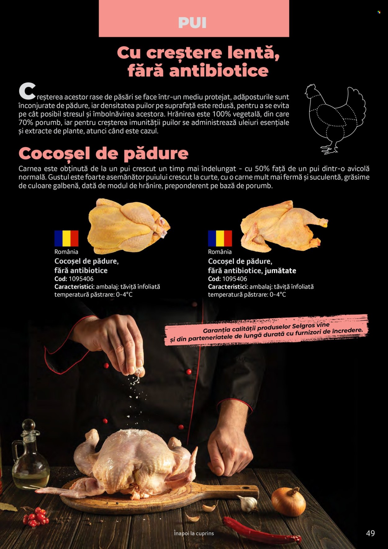 Catalog Selgros. Pagina 49