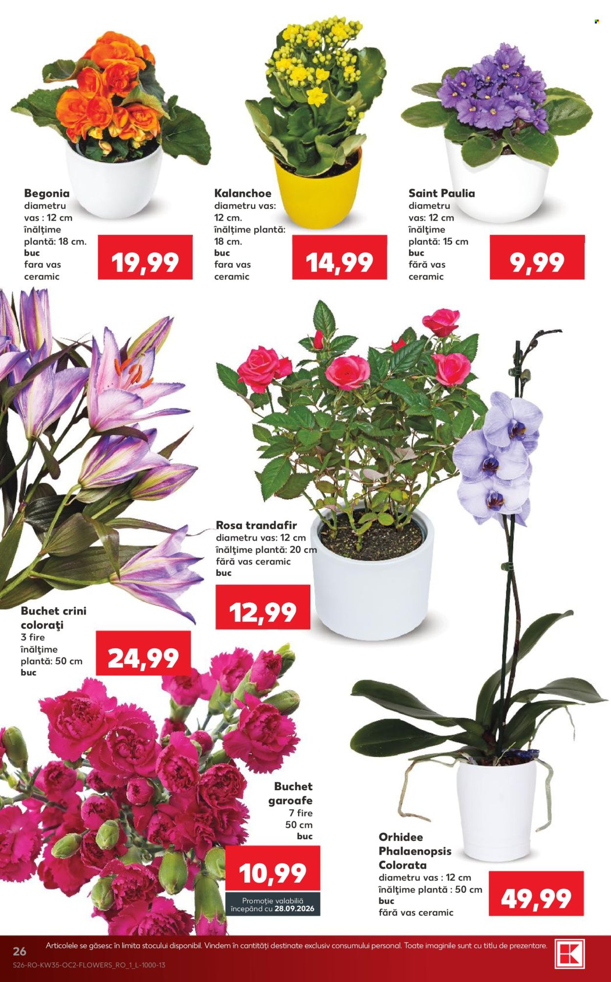 Catalog Kaufland - 26.08.2026 - 01.09.2026. Pagina 26