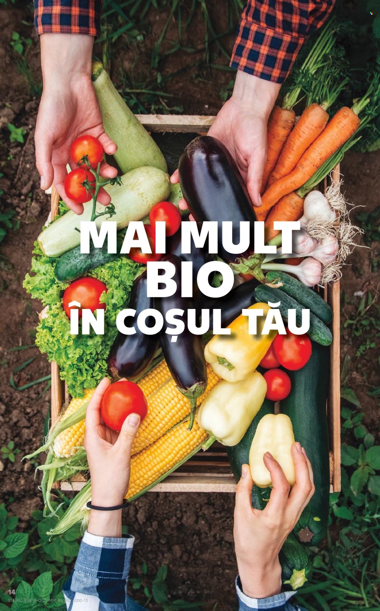 Catalog Kaufland - 26.08.2026 - 01.09.2026. Pagina 14