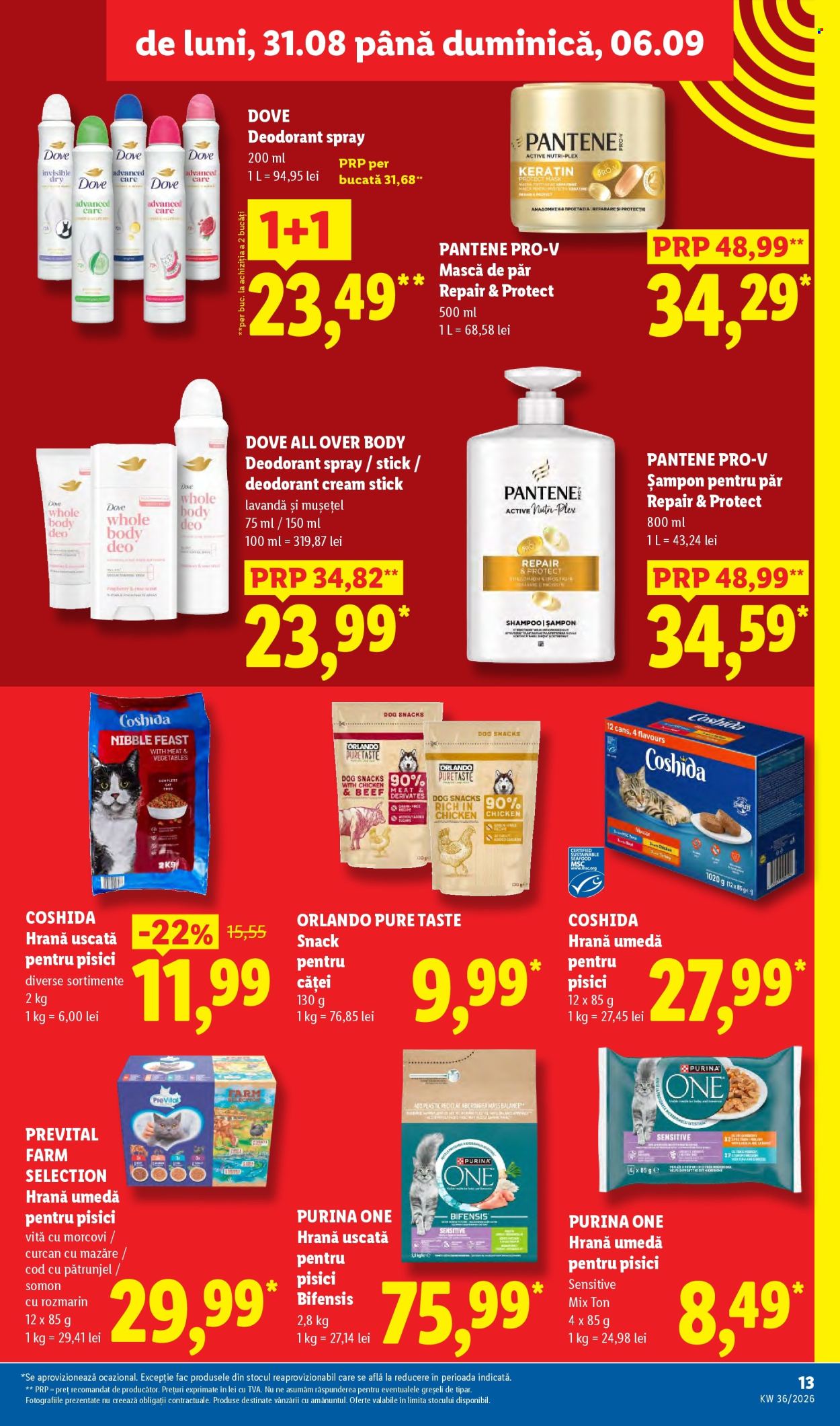 Catalog Lidl - 31.08.2026 - 06.09.2026. Pagina 13