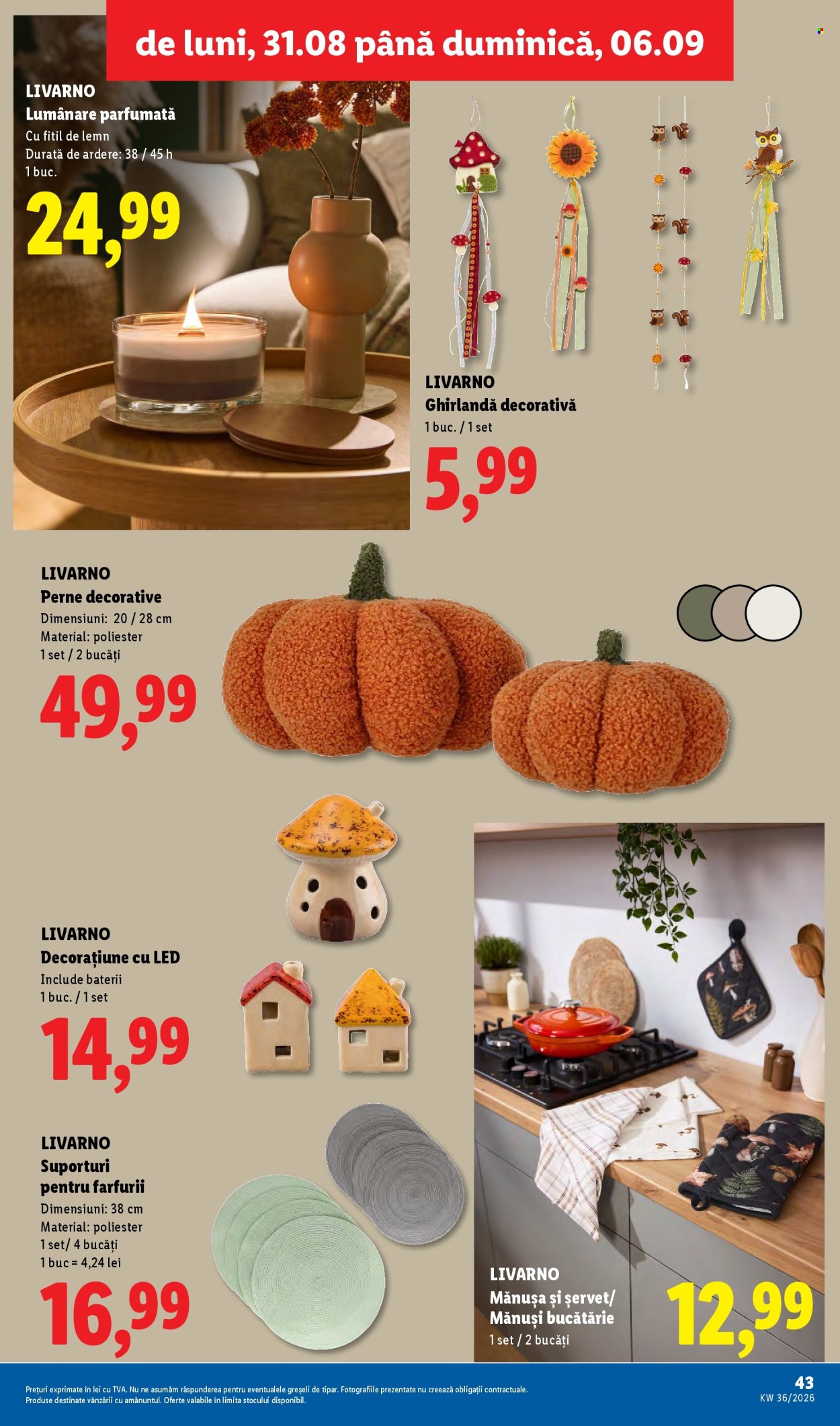 Catalog Lidl - 31.08.2026 - 06.09.2026. Pagina 43