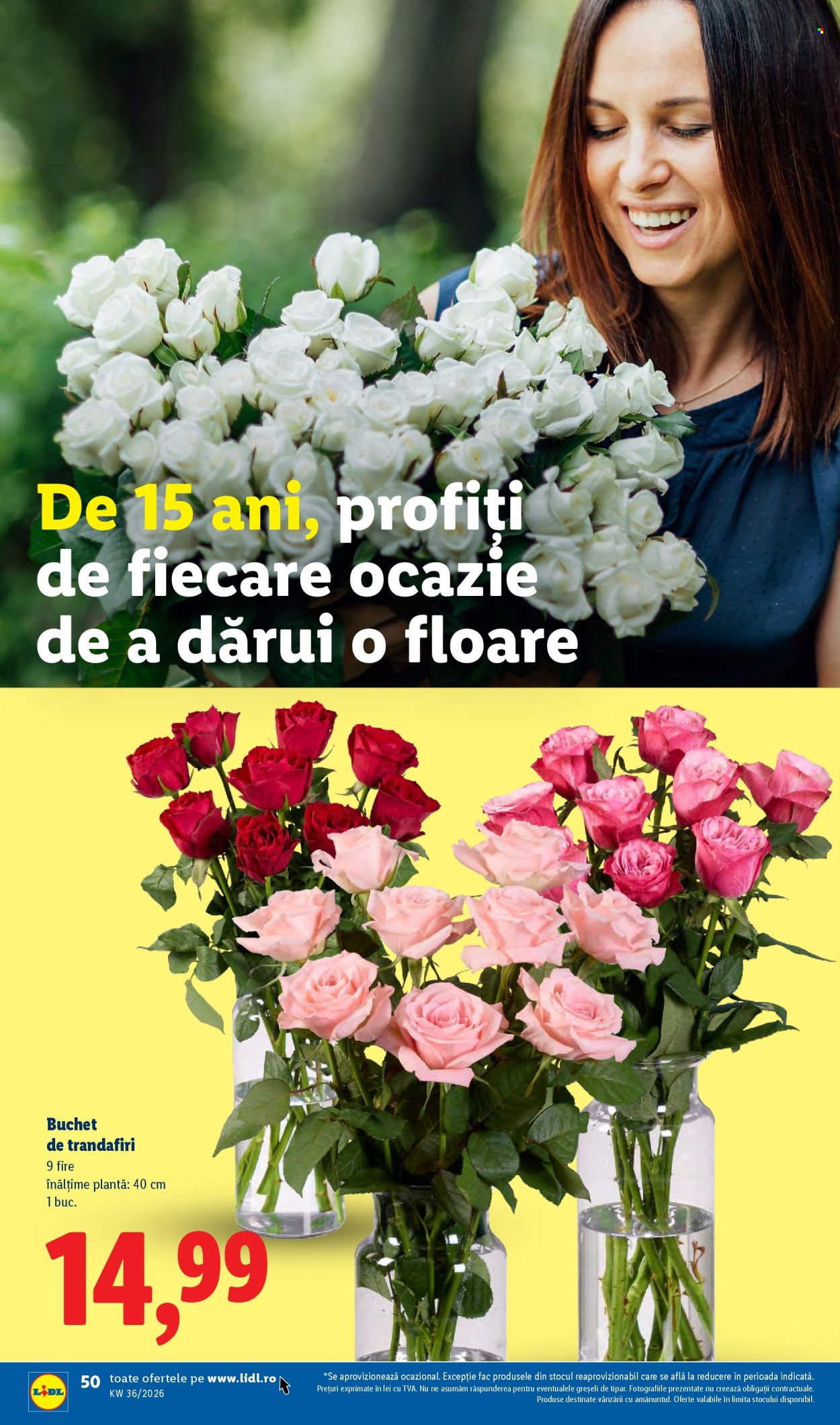 Catalog Lidl - 31.08.2026 - 06.09.2026. Pagina 50