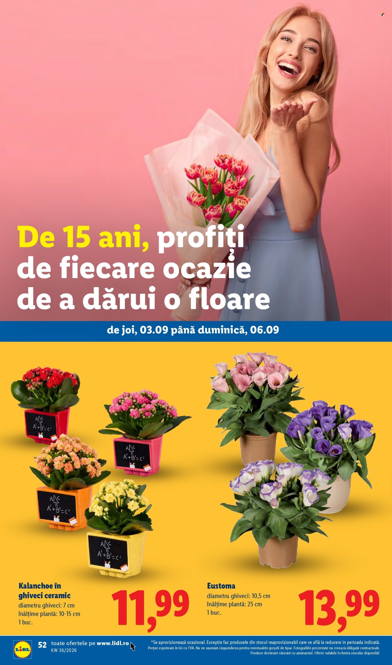 Catalog Lidl - 31.08.2026 - 06.09.2026. Pagina 52