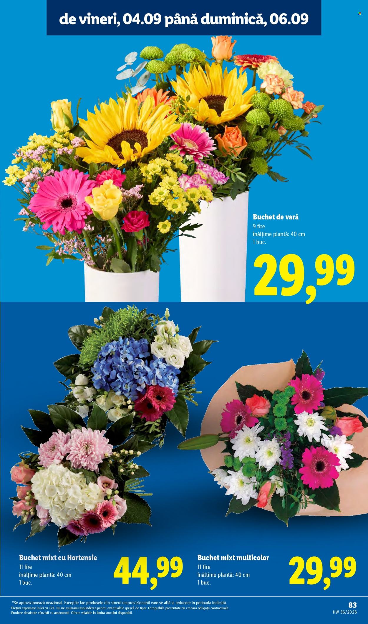 Catalog Lidl - 31.08.2026 - 06.09.2026. Pagina 83