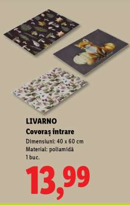 Livarno Covoraș intrare